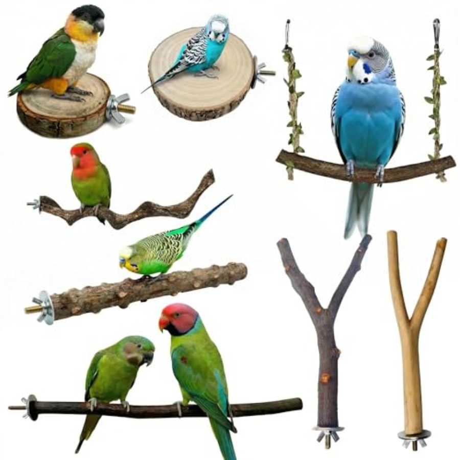 Health & Wellness Japan - 8PCS natural wood bird perches for