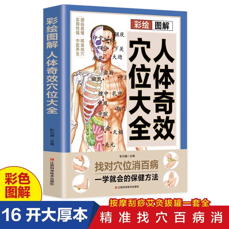 Health & Wellness Japan - Acupoint Massage & TCM Health Preservation