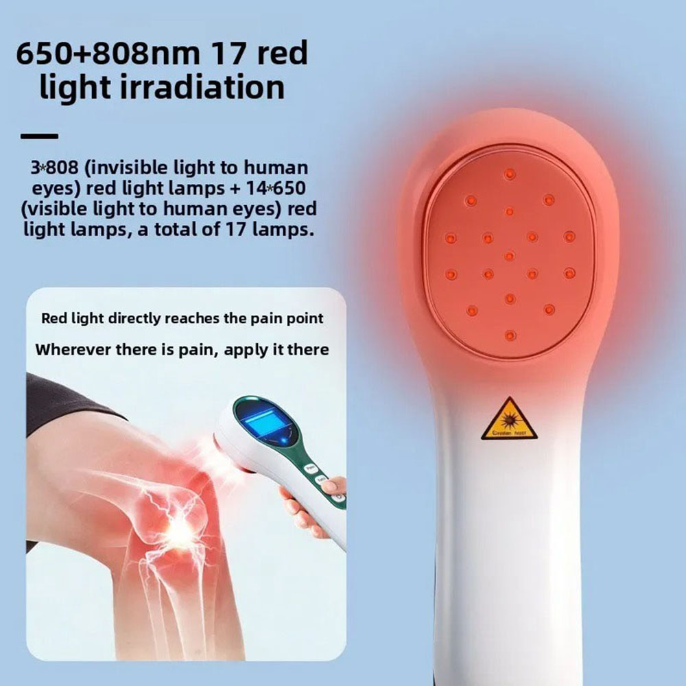 650+808nm Physiotherapy Equipm - огляд і ціна Health Wellness Massage