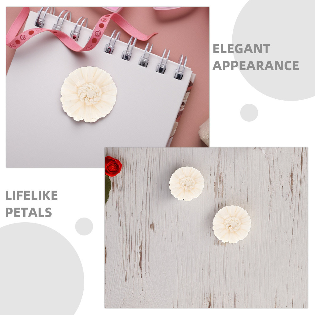 8Pcs Floral Diffuser Sola Chry - огляд і ціна Aromatherapy Diffuser