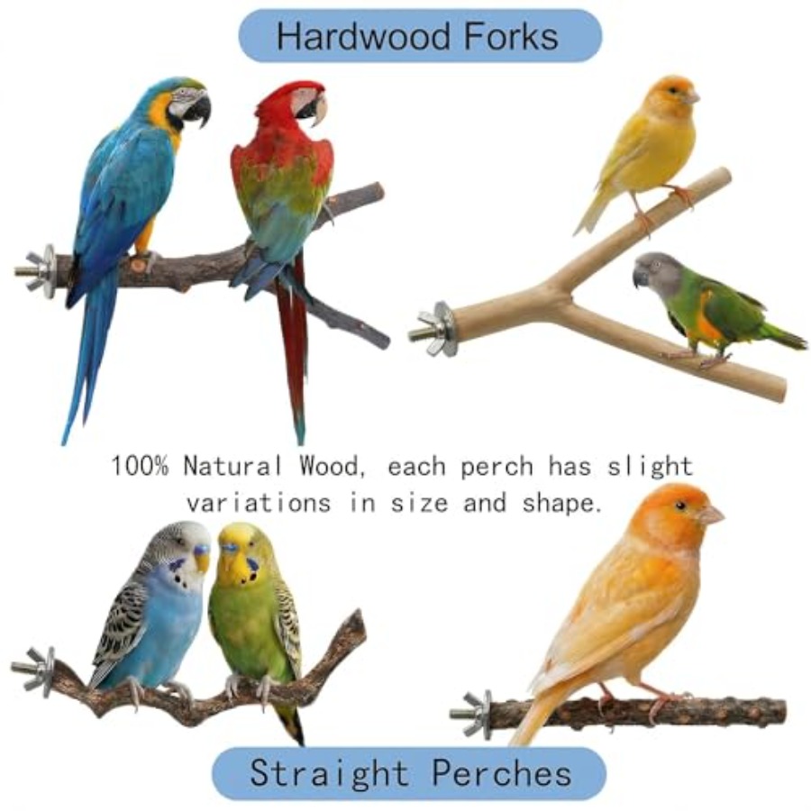 8PCS natural wood bird perches - огляд і ціна Health & Wellness Japan