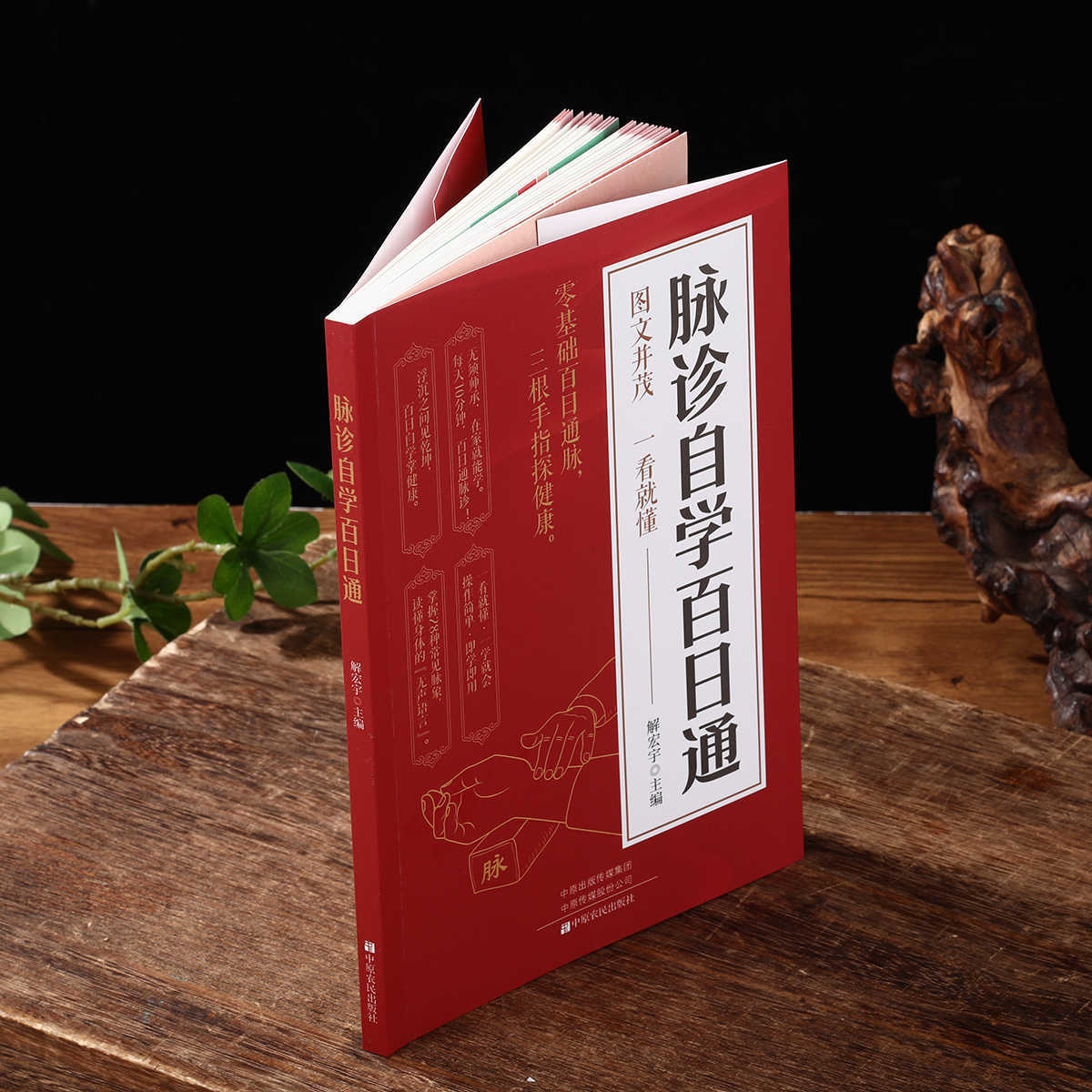 Pulse Diagnosis Self Study Hun - огляд і ціна Health & Wellness Japan
